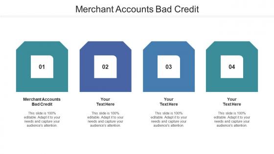 Merchant Accounts Bad Credit Ppt Powerpoint Presentation Ideas Aids Cpb
