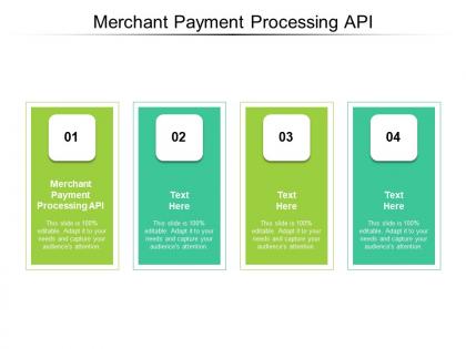 Merchant payment processing api ppt powerpoint presentation slides aids cpb