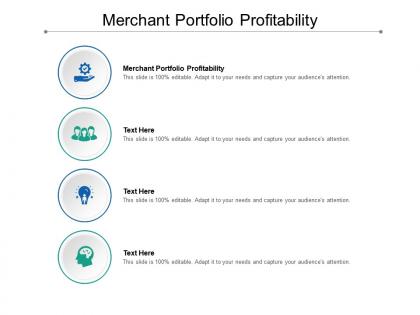 Merchant portfolio profitability ppt powerpoint presentation professional layout cpb