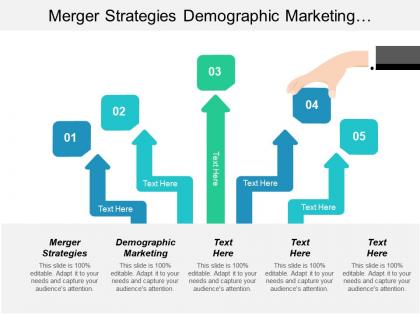 Merger strategies demographic marketing consumer goods innovation process cpb