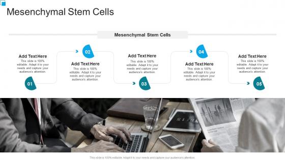 Mesenchymal Stem Cells In Powerpoint And Google Slides Cpb