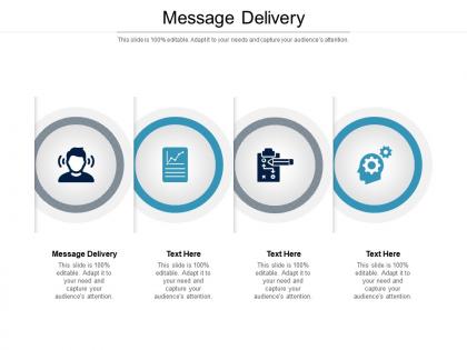 Message delivery ppt powerpoint presentation icon format ideas cpb