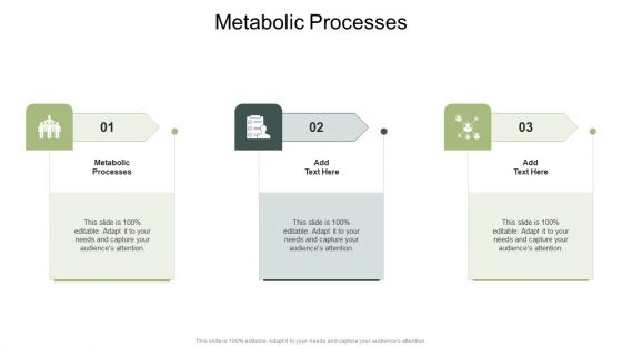 Metabolic Processes In Powerpoint And Google Slides Cpb
