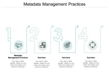 Metadata management practices ppt powerpoint presentation layouts clipart cpb