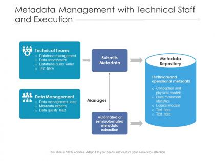 Metadata management with technical staff and execution
