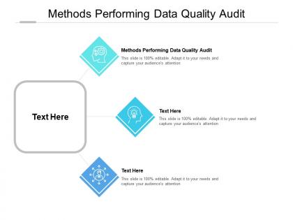 Methods performing data quality audit ppt powerpoint presentation professional summary cpb