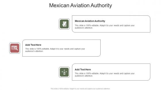 Mexican Aviation Authority In Powerpoint And Google Slides Cpb