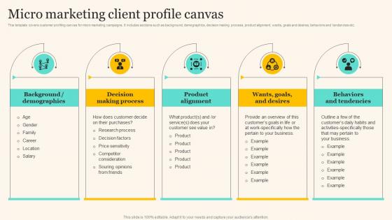 Micro Marketing Client Profile Canvas Marketing Strategies To Grow Your Audience
