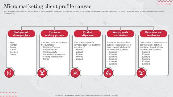 Micro Marketing Client Profile Canvas Target Market Definition Examples Strategies And Analysis