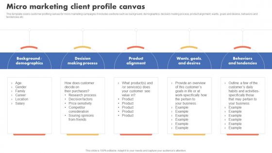 Micro Marketing Client Profile Canvas Types Of Target Marketing Strategies