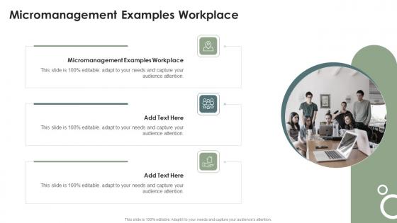 Micromanagement Examples Workplace In Powerpoint And Google Slides Cpb