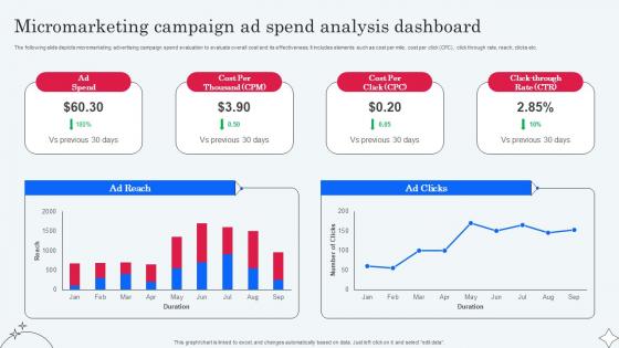 Micromarketing Campaign Ad Spend Analysis Implementing Micromarketing To Minimize MKT SS V
