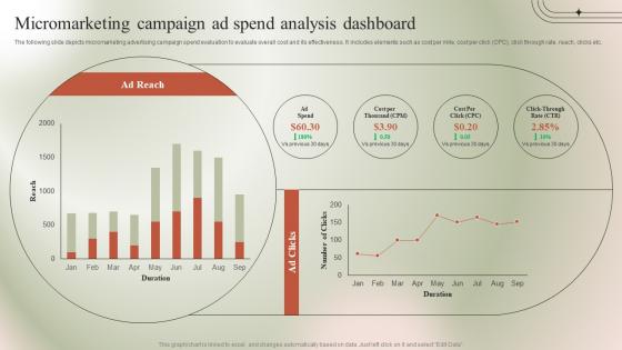 Micromarketing Campaign Ad Spend Analysis Micromarketing Guide To Target MKT SS
