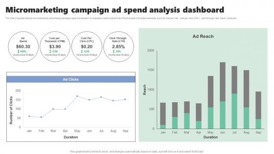 Micromarketing Campaign Ad Spend Analysis Micromarketing Strategies For Personalized MKT SS V