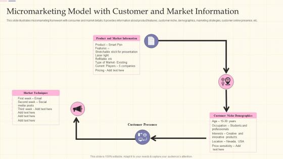 Micromarketing Model With Customer And Market Information
