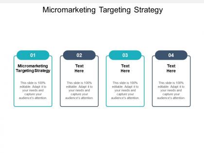 Micromarketing targeting strategy ppt powerpoint presentation visual aids outline cpb