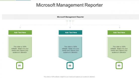 Microsoft Management Reporter In Powerpoint And Google Slides Cpb