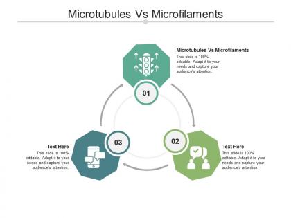 Microtubules vs microfilaments ppt powerpoint presentation show cpb