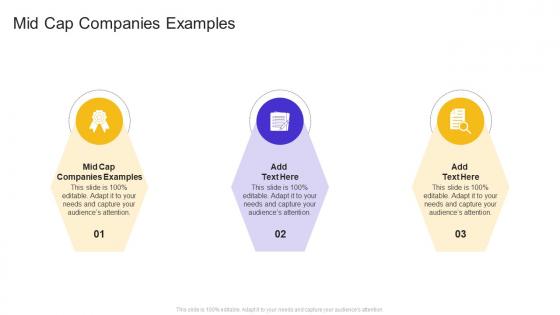 Mid Cap Companies Examples In Powerpoint And Google Slides Cpb