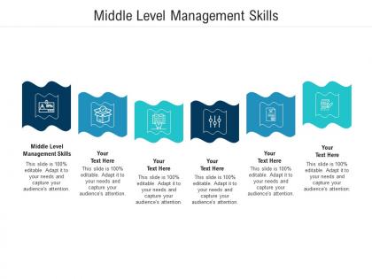 Middle level management skills ppt powerpoint presentation show graphic images cpb
