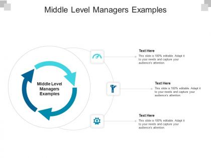 Middle level managers examples ppt powerpoint presentation file information cpb