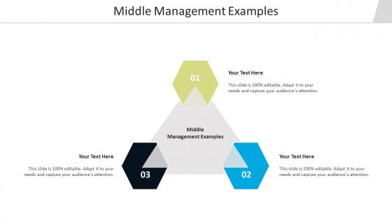 Middle management examples ppt powerpoint presentation inspiration demonstration cpb