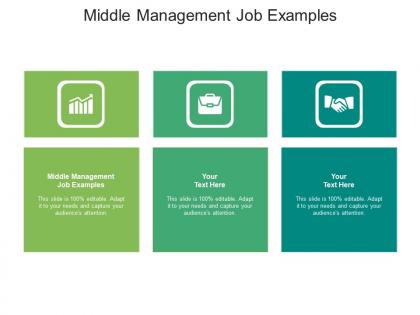 Middle management job examples ppt powerpoint presentation outline infographics cpb