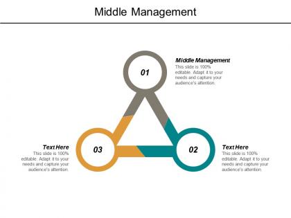 Middle management ppt powerpoint presentation outline microsoft cpb