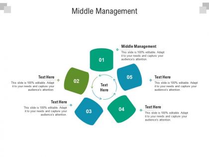 Middle management ppt powerpoint presentation show guidelines cpb