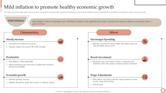 Mild Inflation Healthy Economic Growth Inflation Dynamics Causes Impacts And Strategies Fin SS