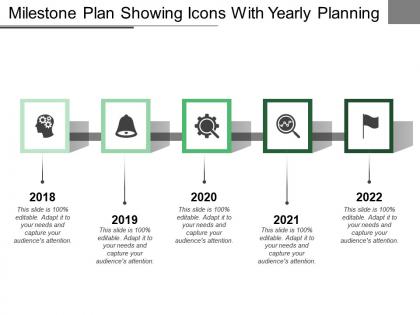 Milestone plan showing icons with yearly planning