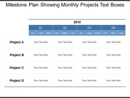 Milestone plan showing monthly projects text boxes