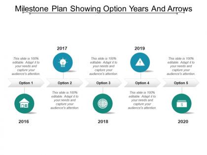 Milestone plan showing option years and arrows