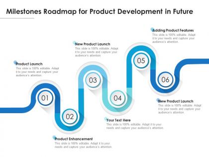 Milestones roadmap for product development in future