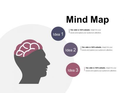 Mind map ppt infographic template