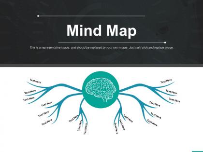 Mind map ppt professional format