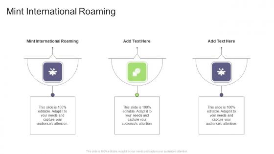 Mint International Roaming In Powerpoint And Google Slides Cpb
