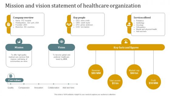 Mission And Vision Statement Of Healthcare Organization Promotional Plan Strategy SS V