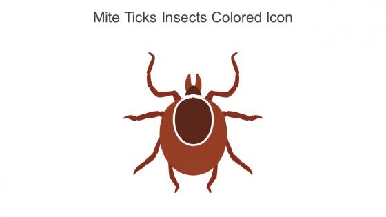Mite Ticks Insects Colored Icon In Powerpoint Pptx Png And Editable Eps Format