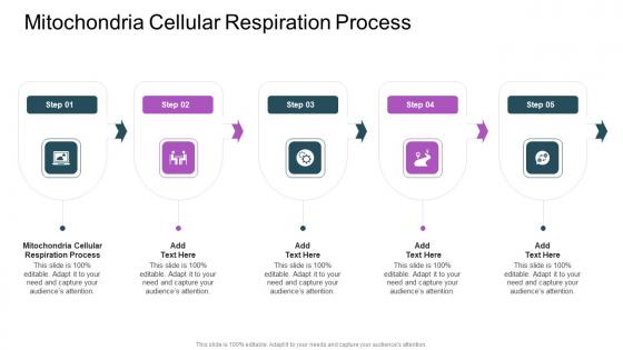 Mitochondria Cellular Respiration Process In Powerpoint And Google Slides Cpb