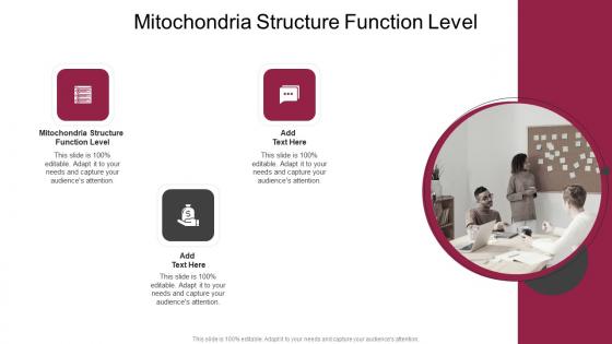 Mitochondria Structure Function Level In Powerpoint And Google Slides Cpb
