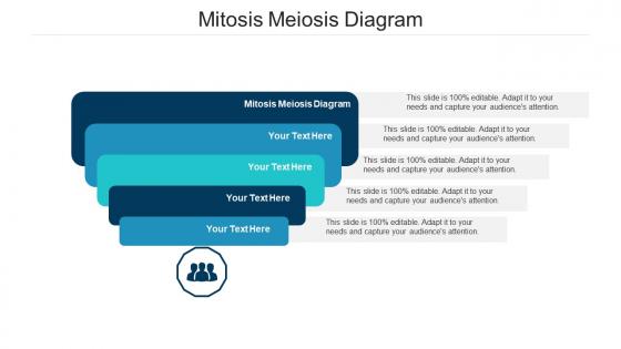 Mitosis meiosis diagram ppt powerpoint presentation professional graphic images cpb