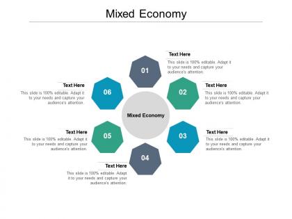 Mixed economy ppt powerpoint presentation gallery designs download cpb