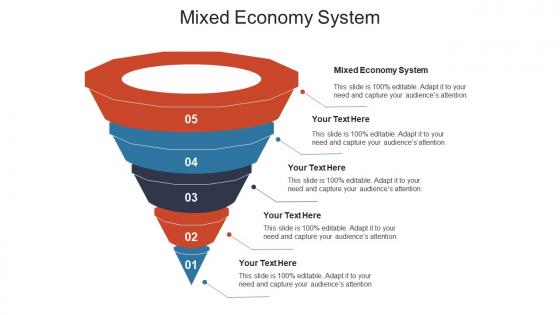 Mixed economy system ppt powerpoint presentation professional graphics cpb