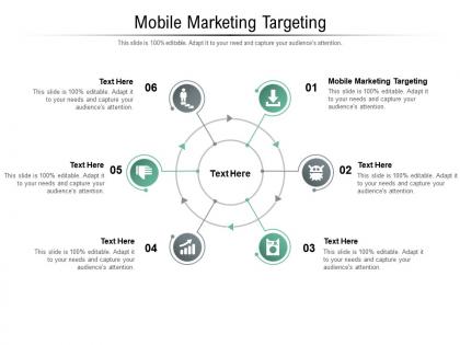 Mobile marketing targeting ppt powerpoint presentation infographics format ideas cpb