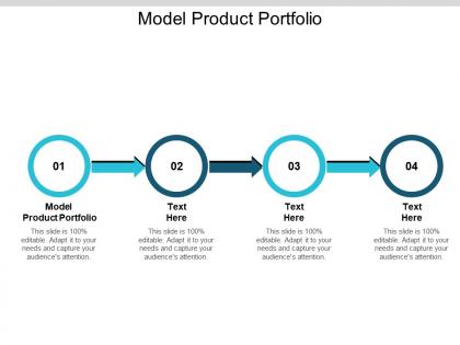 Model product portfolio ppt powerpoint presentation professional vector cpb