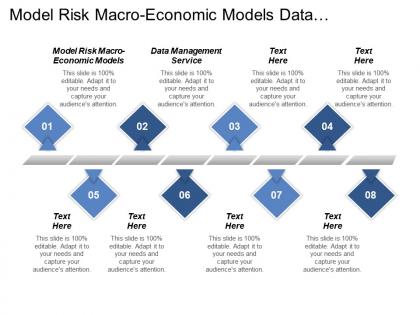 Model risk macro economic models data management service cpb