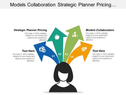Models collaboration strategic planner pricing nonprofit investment strategy cpb