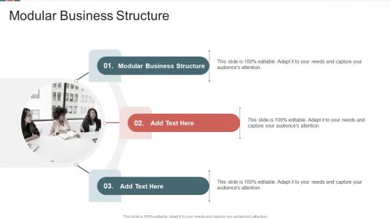Modular Business Structure In Powerpoint And Google Slides Cpb