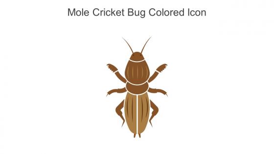 Mole Cricket Bug Colored Icon In Powerpoint Pptx Png And Editable Eps Format